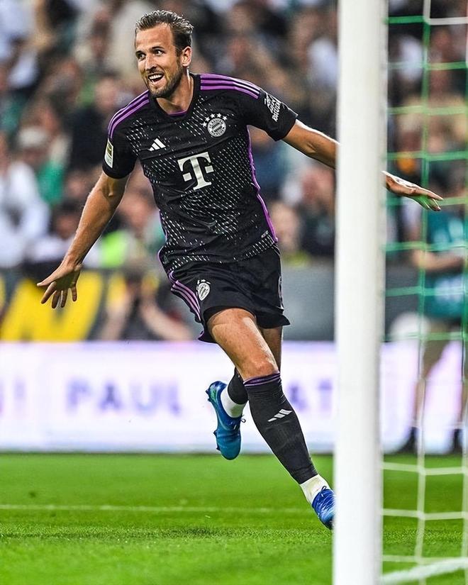 引起了广泛 引起了广泛