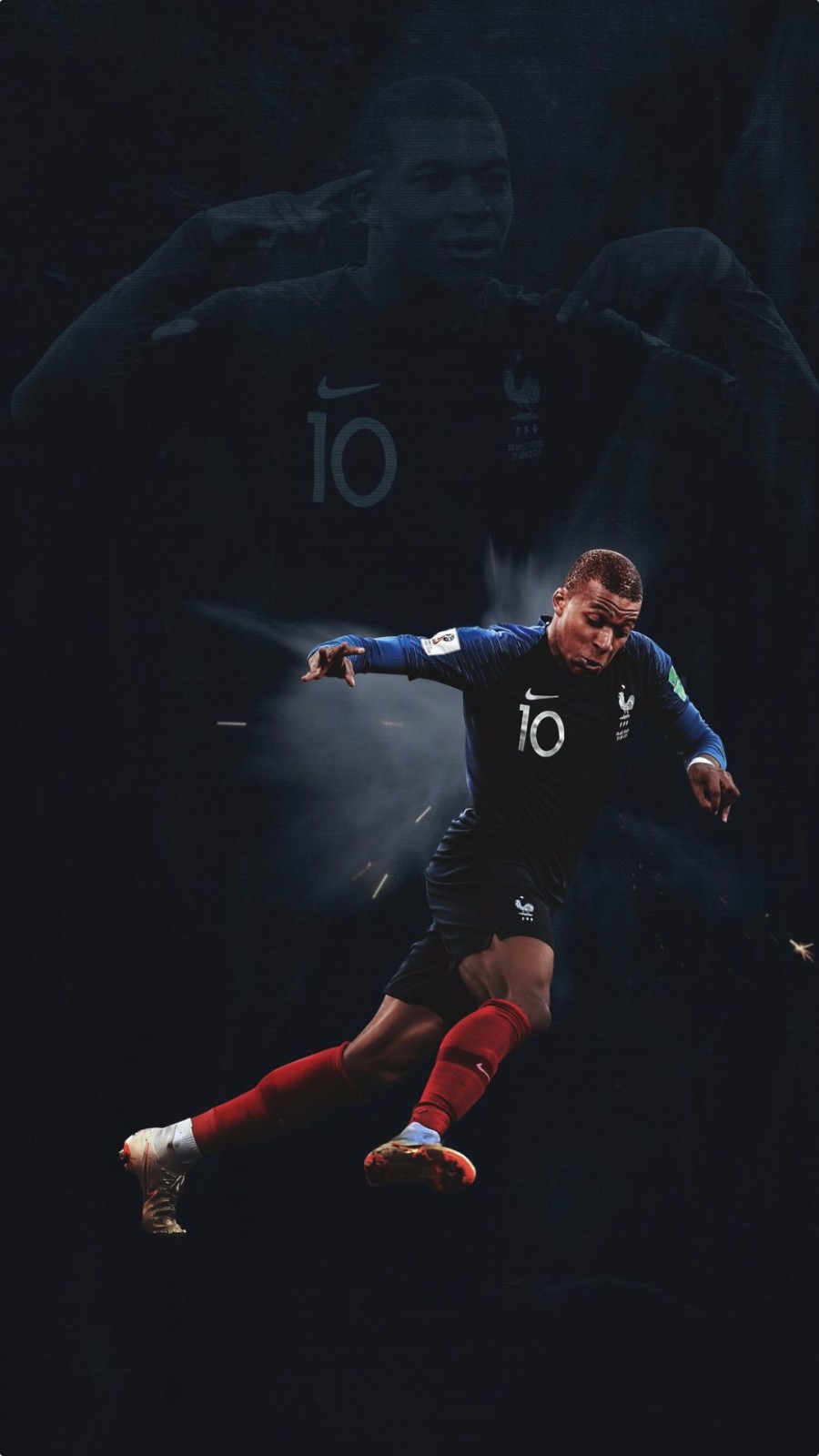 职业球员目 职业球员目