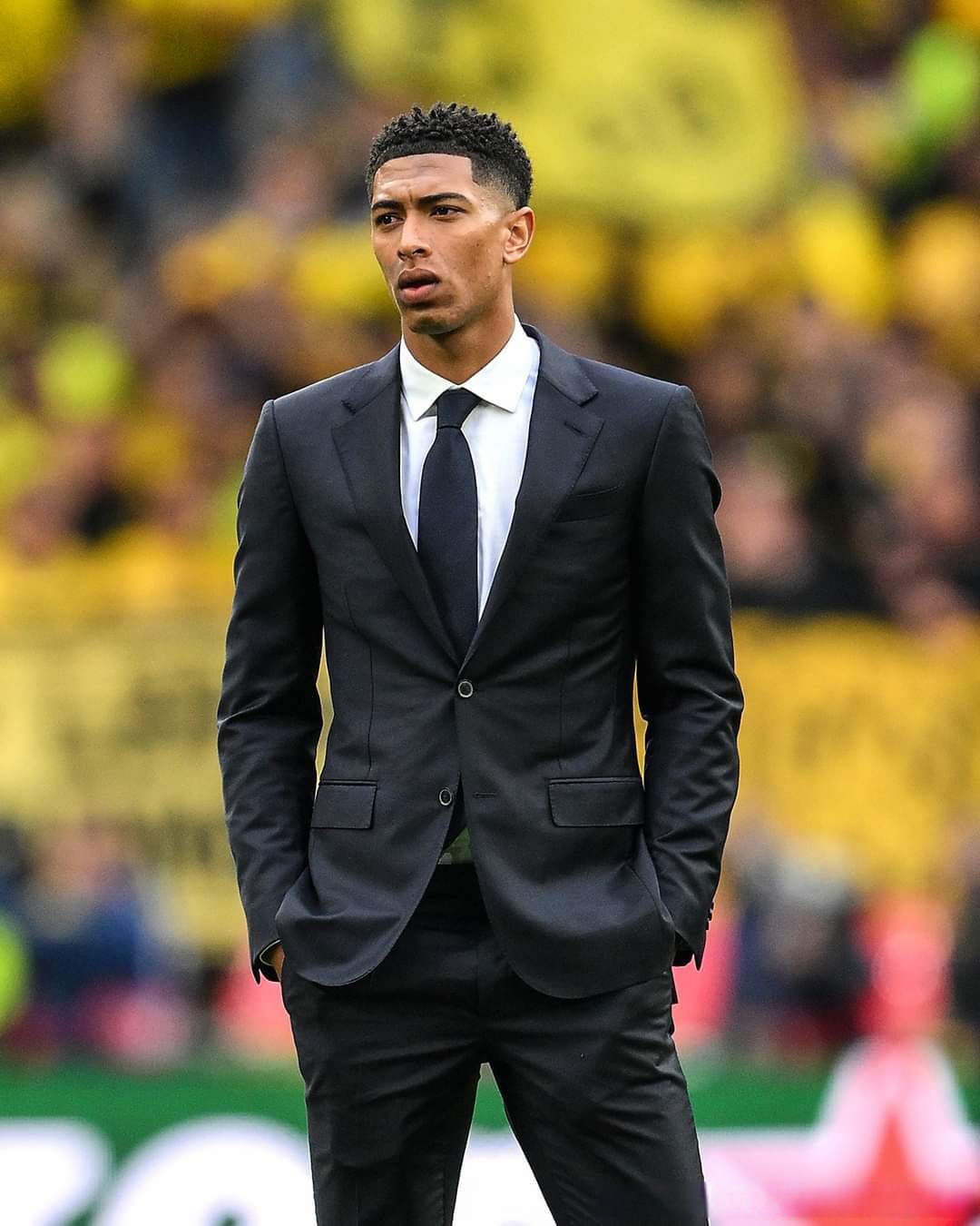 提供了清晰 提供了清晰