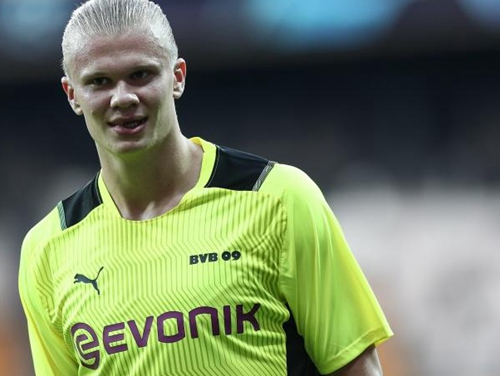 明确分工 明确分工